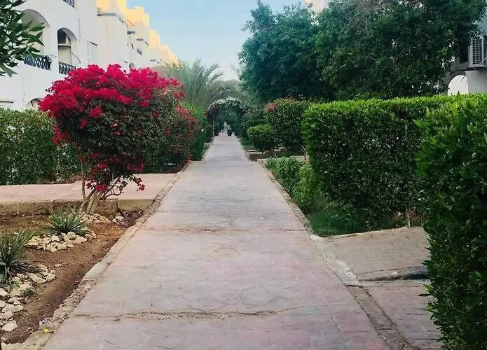غرفه وصاله بقريه ريفيرا ريزورت *